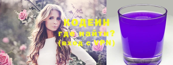 хмурый Нея