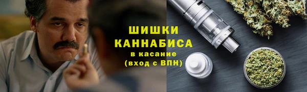 хмурый Нея