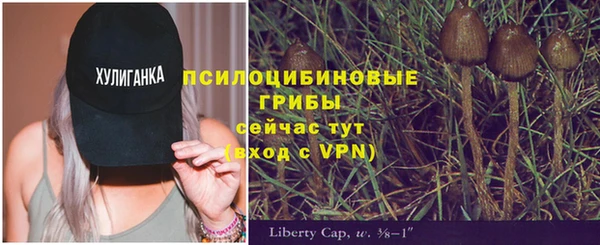 сатива Михайлов